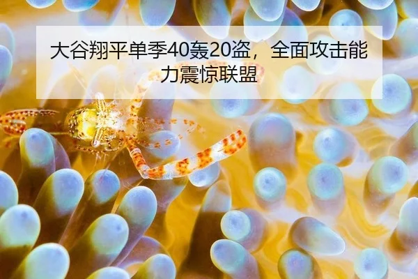 大谷翔平单季40轰20盗，全面攻击能力震惊联盟